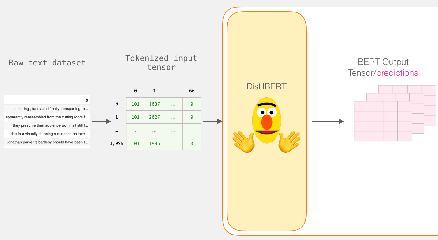 DistilBert output